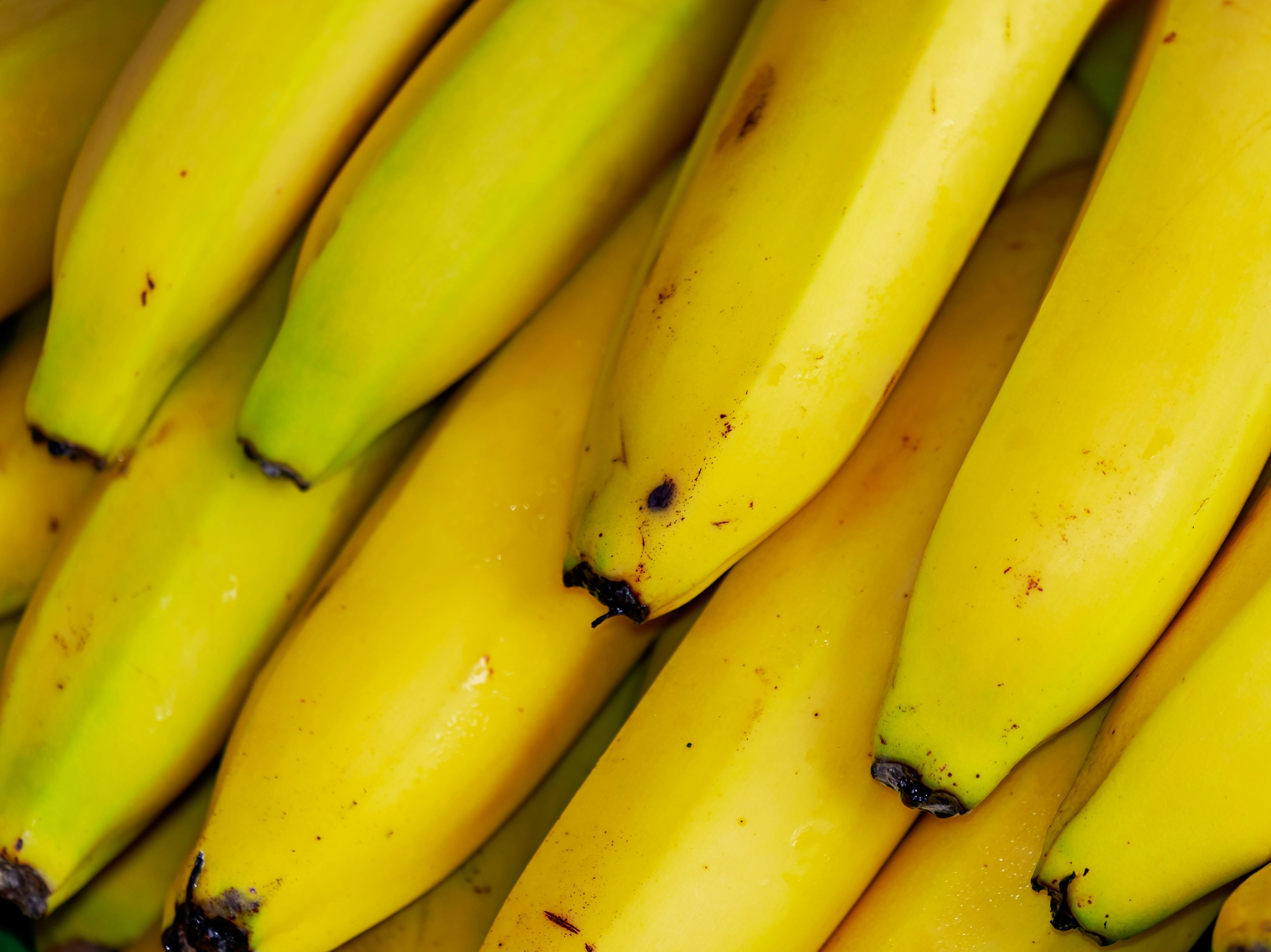 Bananas
