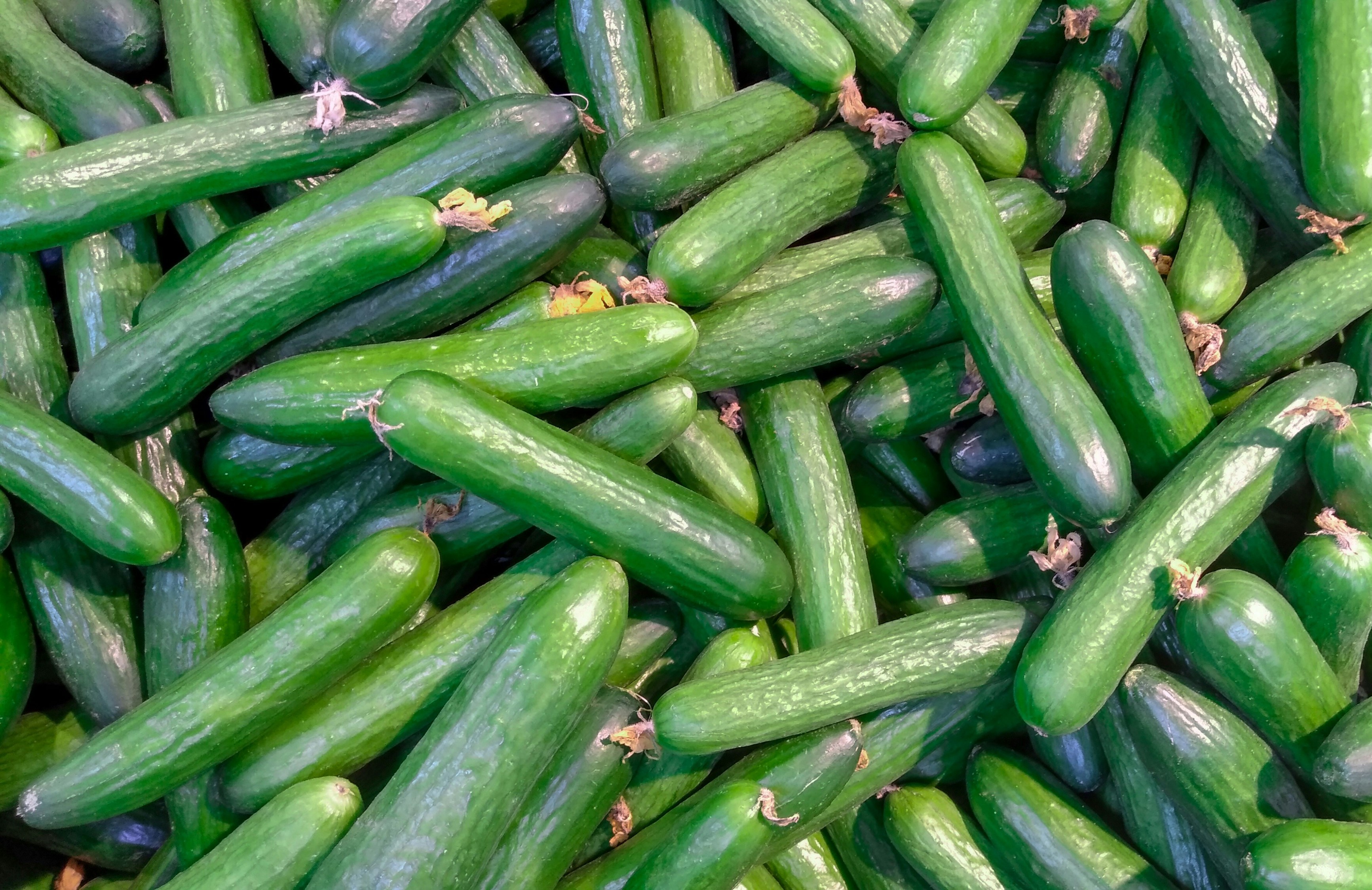 Bananas